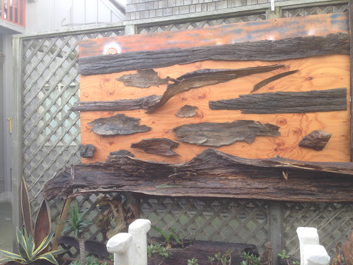 Surf Shop «La playa surf shop», reviews and photos, 1540 La Playa St, San Francisco, CA 94122, USA