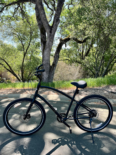 Mountain Pedaler Bicycles