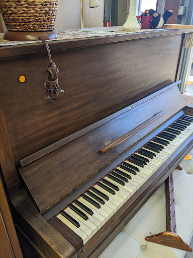 Thrift Store «Grey Bears Thrift Store», reviews and photos