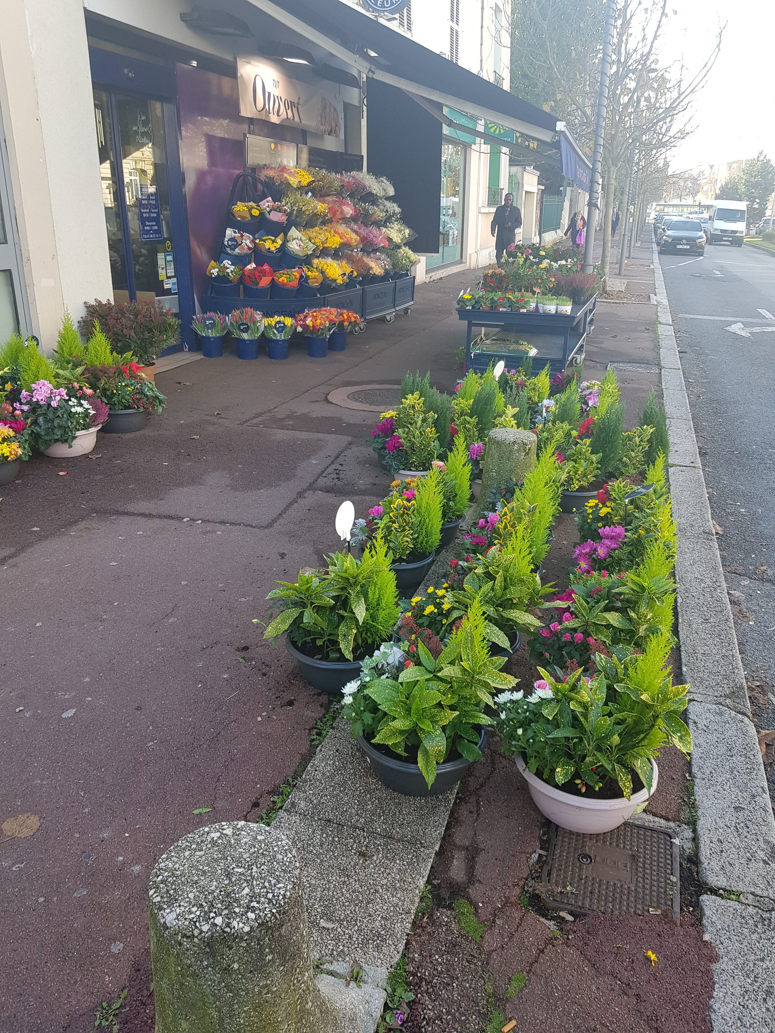 Photo n° 1 de l'avis de Philip.a fait le 20/11/2019 à 14:03