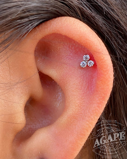 Explore half sleeve cover up tattoo ideas, creative tattoo ideas in Dover, available at Agap Body Piercings