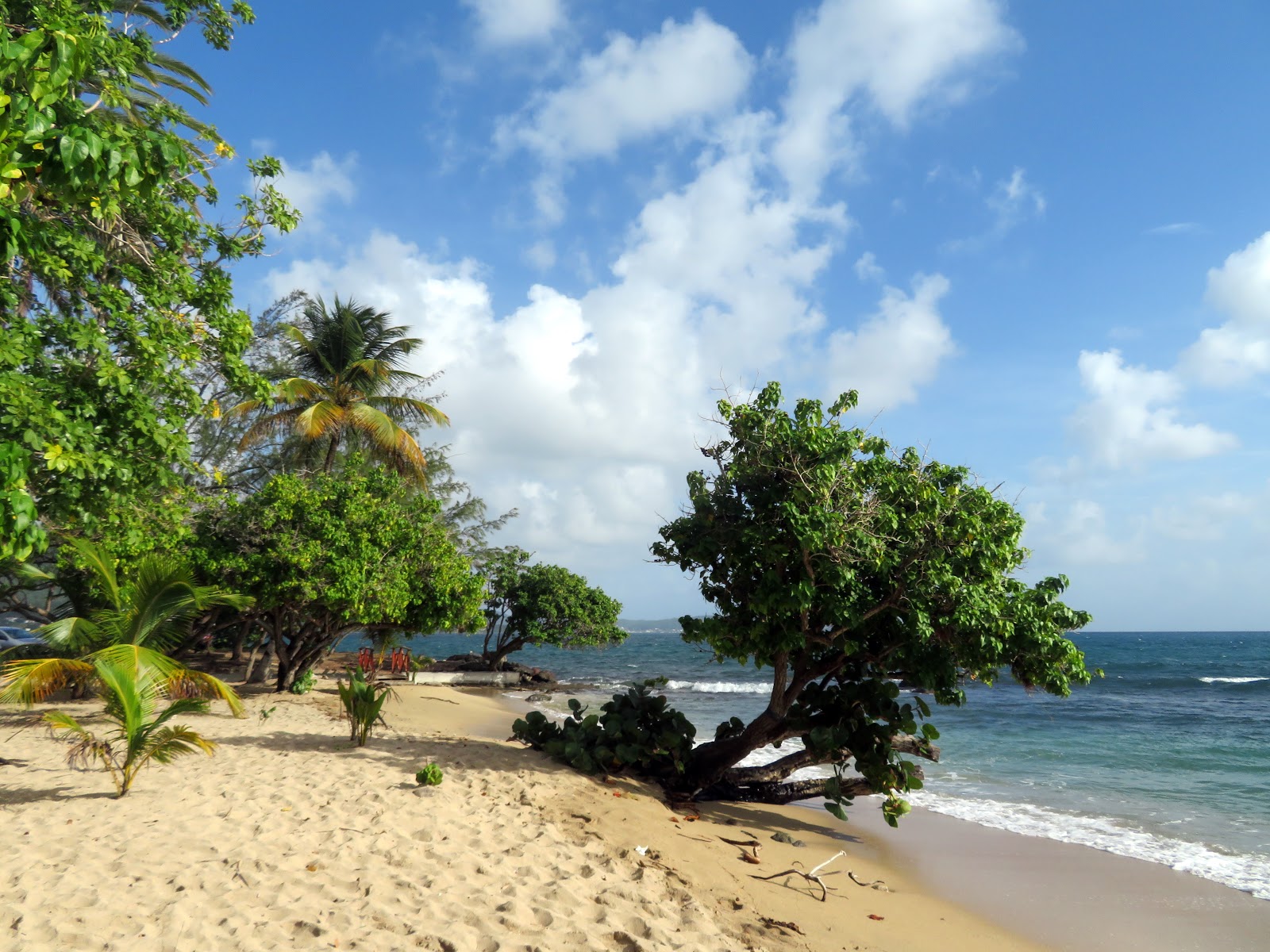 Foto av Gros raisins beach med rymlig strand