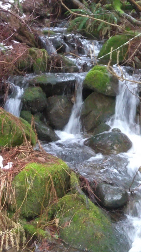 Tourist Attraction «Wahkeena Falls», reviews and photos, Wahkeena Trail #420, Corbett, OR 97019, USA