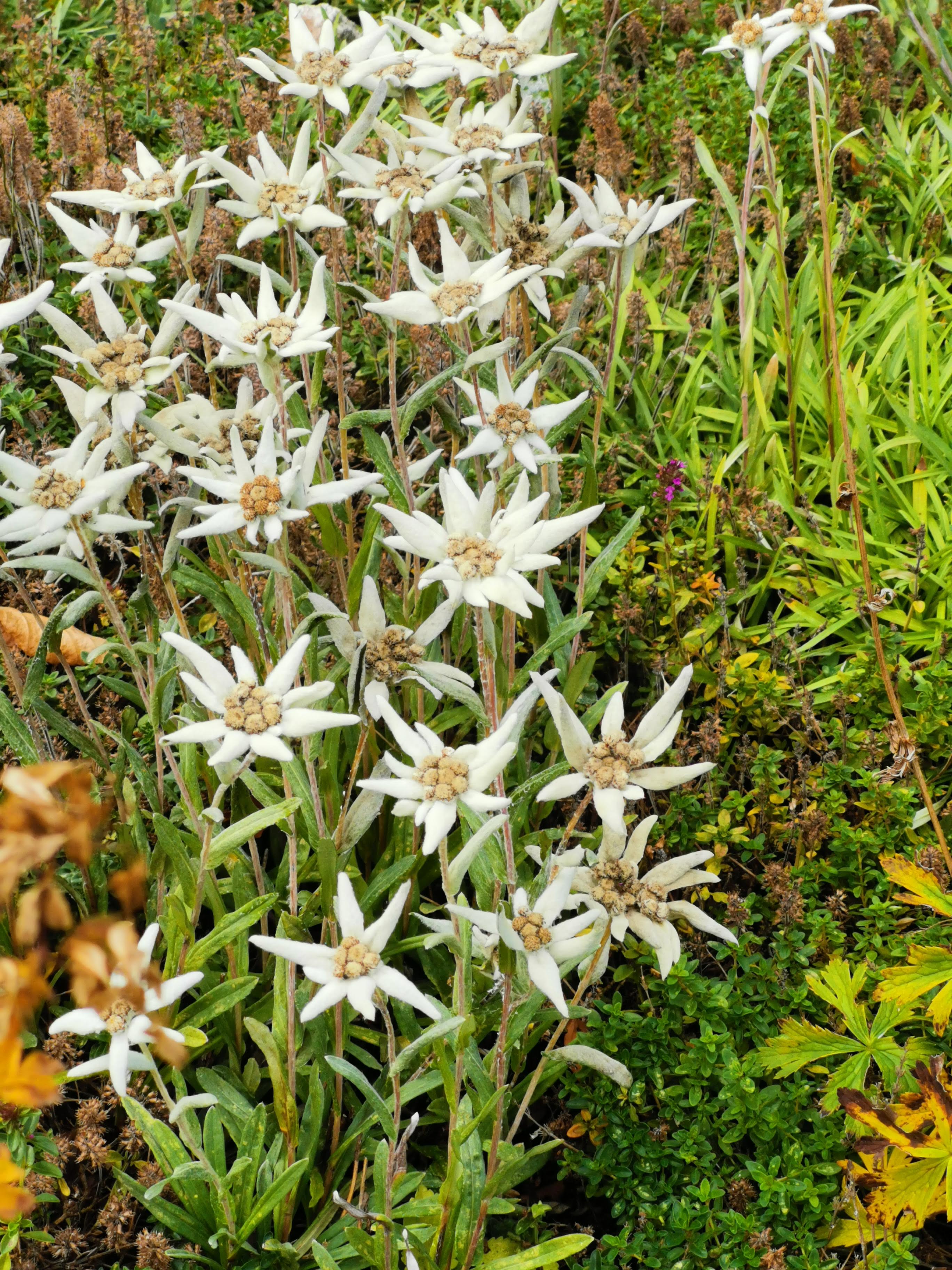 Photo n° 4 de l'avis de Marie.e fait le 03/10/2023 à 06:05