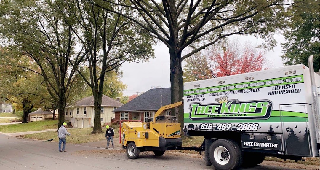 Tree Kings, LLC