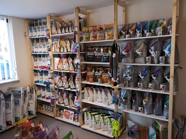 Állatpatika Pegazus - Állatorvos