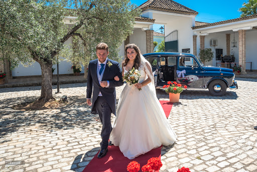 Jose Olivares S.L. en Gines