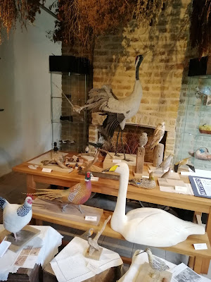 Maison de la nature à Ardres