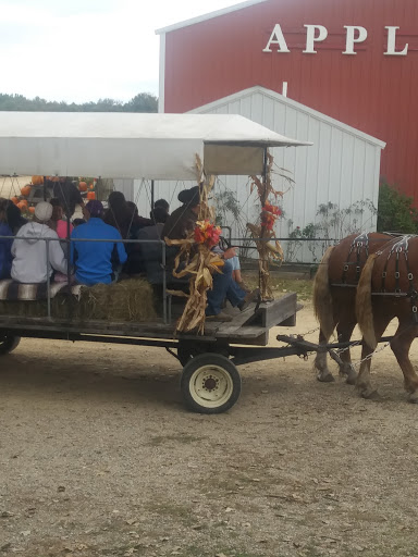 Produce Market «Welsh Heritage Farms», reviews and photos, 20758 528th Ave, Lake Crystal, MN 56055, USA