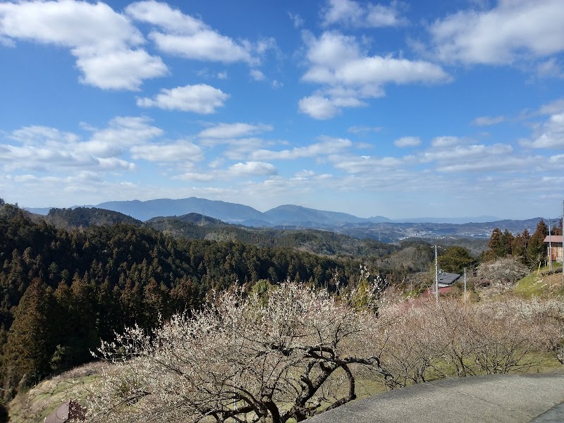 広橋梅林観光駐車場 奈良県下市町広橋 無料駐車場 グルコミ