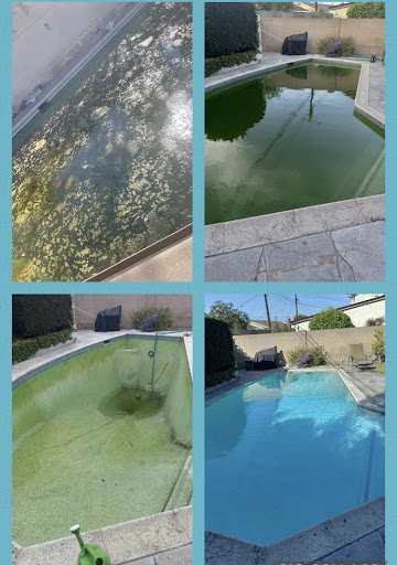 Javier's Pool & Spa Services
