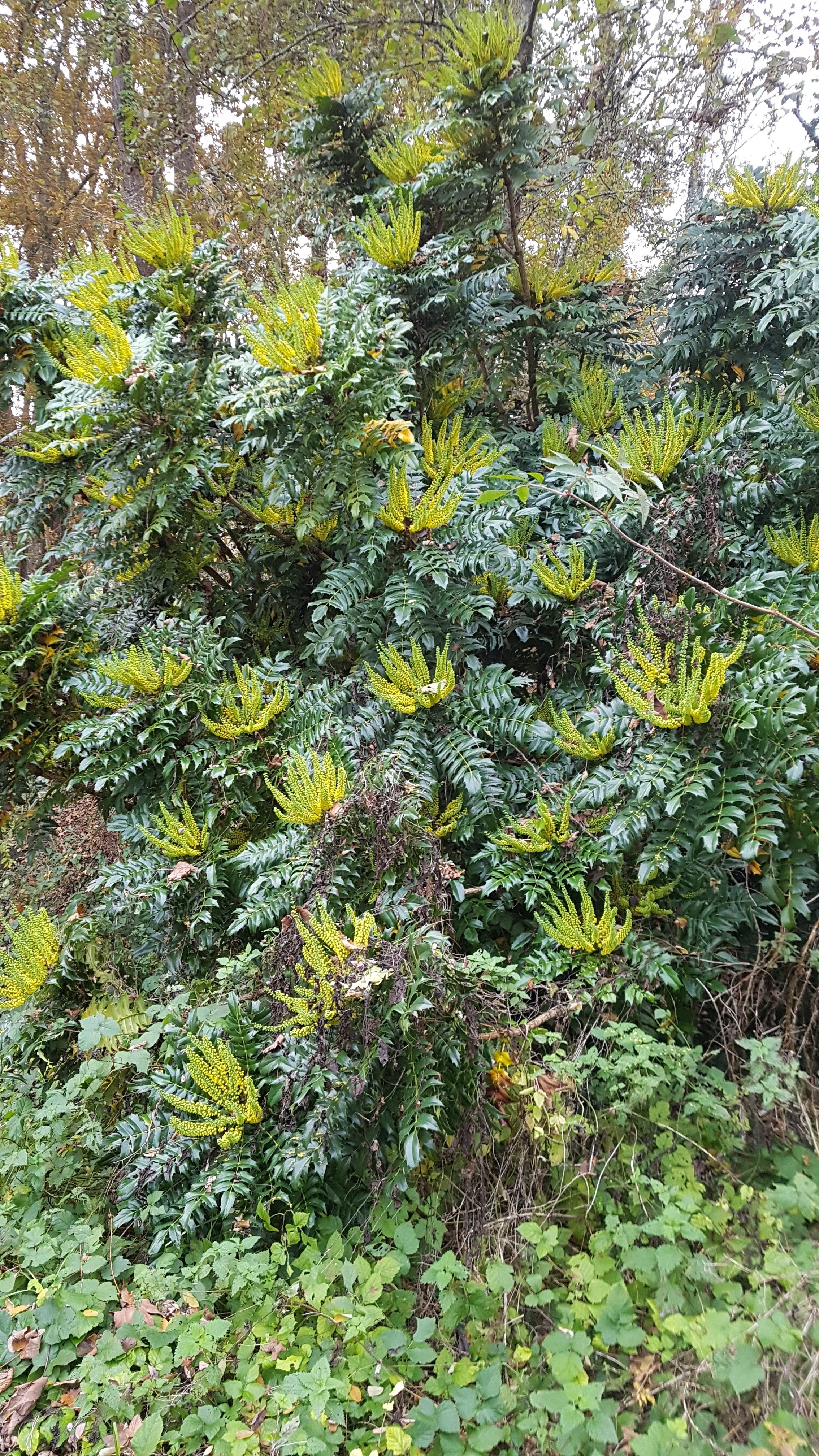 Photo n° 4 de l'avis de Joanna.A fait le 29/12/2021 à 13:09