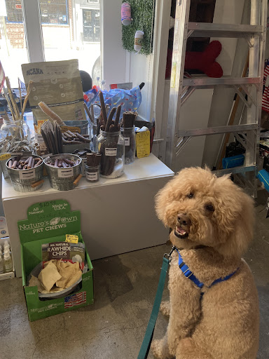 Pet Supply Store «BONeJOUR Pet Supply and Dog Wash», reviews and photos, 53 N 3rd St, Philadelphia, PA 19106, USA