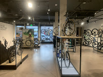 Specialized Los Gatos - Photo 6 - Car repair in Los Gatos, CA, Sacramento