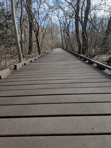 Nature Preserve «Dolan Pond Conservation Area», reviews and photos, Webster Park, West Newton, MA 02465, USA