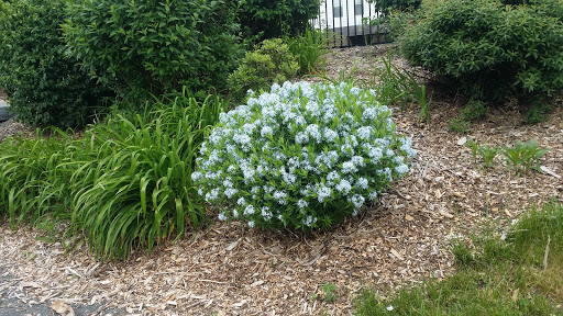 Barbecue Restaurant «Smokin With Chris», reviews and photos, 59 W Center St, Southington, CT 06489, USA