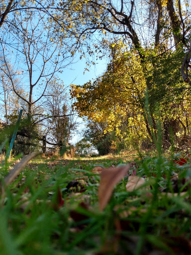 Private Golf Course «Chester Valley Golf Course», reviews and photos, 430 W Swedesford Rd, Malvern, PA 19355, USA