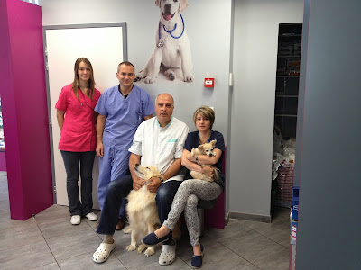 Clinique vétérinaire 7VET7 de Nogent à Nogent-sur-Marne