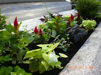 Great Lakes Landscaping, Inc. - Photo 5 - Car repair in Cleveland, OH, Cleveland