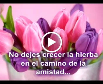 Pharmacy «Rite Care Pharmacy», reviews and photos, 7560 Greenville Ave, Dallas, TX 75231, USA