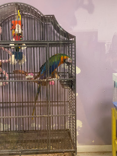 Pet Store «Animart Pets», reviews and photos, 2813 Veterans Memorial Hwy SW, Austell, GA 30168, USA