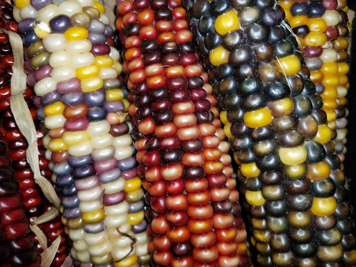 Grocery Store «Grocery Outlet Bargain Market», reviews and photos, 66 N Londonderry Square #300, Palmyra, PA 17078, USA