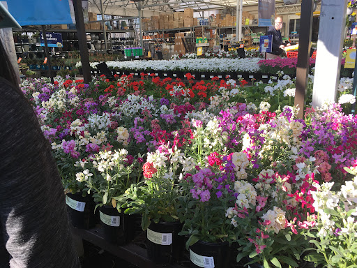 Lowes Home Improvement image