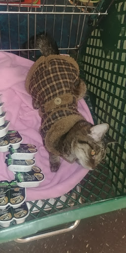 Pet Supply Store «Pet Supplies Plus», reviews and photos, 690 N State St, Westerville, OH 43082, USA