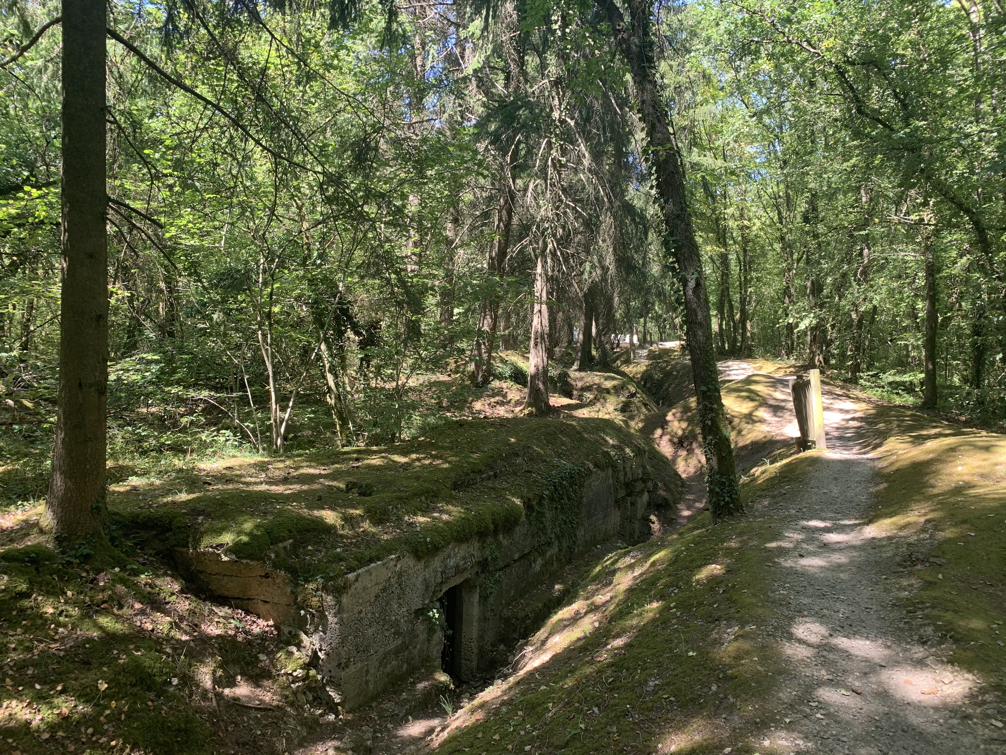 Photo n° 16 de l'avis de Ivo. fait le 18/08/2020 à 21:12
