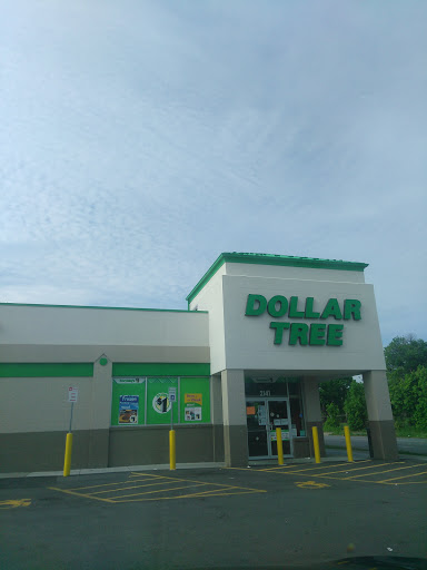 Dollar Tree image 3