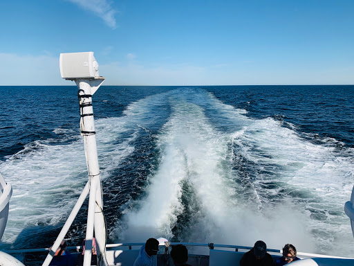 Whale Watching Tour Agency «Cape Ann Whale Watch», reviews and photos, 415 Main St, Gloucester, MA 01930, USA
