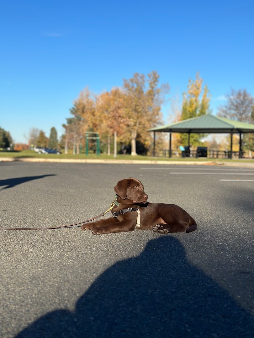 Front Range Dog Training