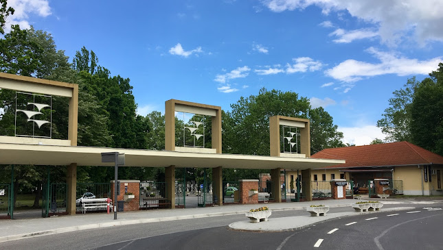 Kecskeméti Köztemető - Kecskemét