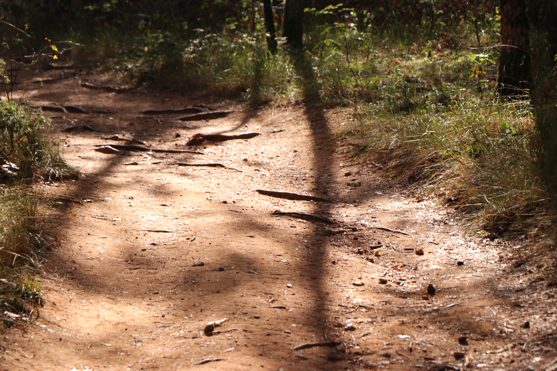 Photo n° 13 de l'avis de m.. fait le 18/09/2019 à 13:54