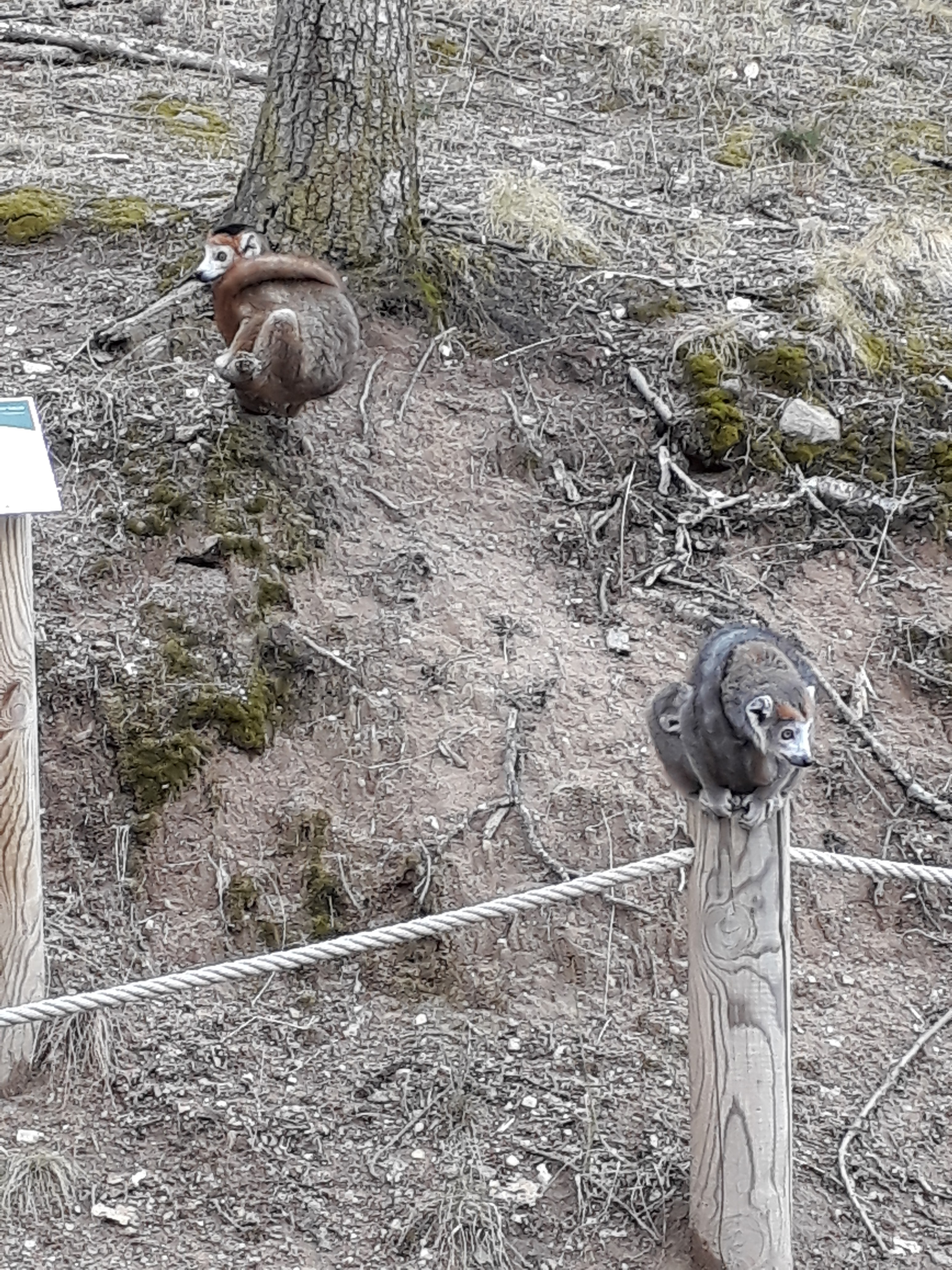 Photo n° 35 de l'avis de Stef.e fait le 15/08/2018 à 14:06