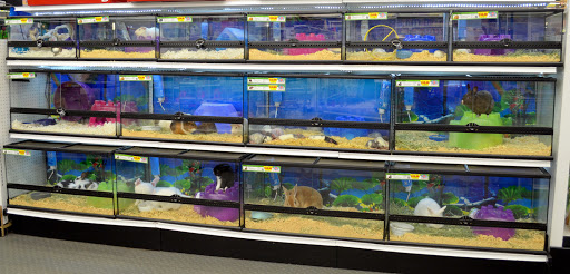 Pet Store «B & B Pet Stop, Inc.», reviews and photos, 5035 Cottage Hill Rd, Mobile, AL 36609, USA