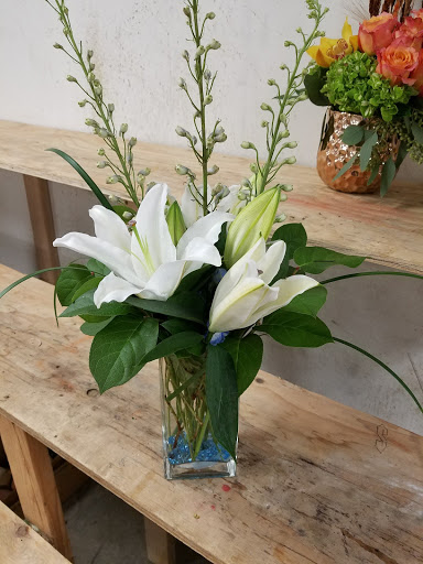 Florist «Mayfield Florist», reviews and photos, 1610 N Tucson Blvd, Tucson, AZ 85716, USA