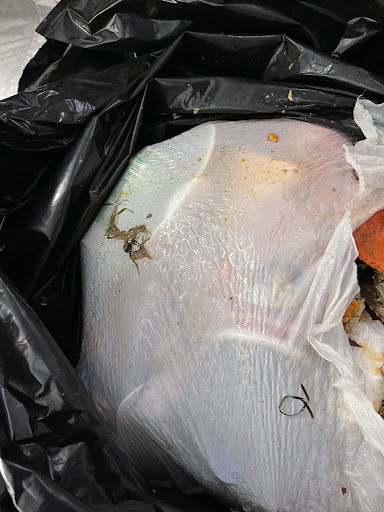 Seafood Market «Bill Forrest Seafood», reviews and photos, 287 Messick Rd, Poquoson, VA 23662, USA