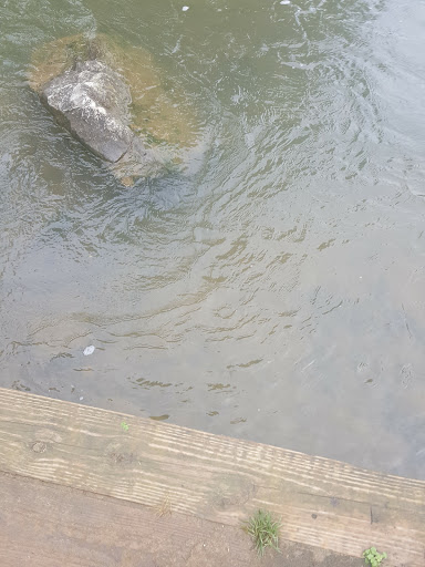 Performing Arts Theater «The Arts Center of Cannon County», reviews and photos, 1424 John Bragg Hwy, Woodbury, TN 37190, USA