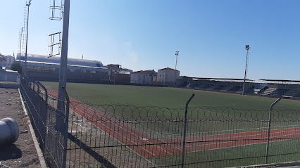 Şehit Nihat Karadaş Stadı