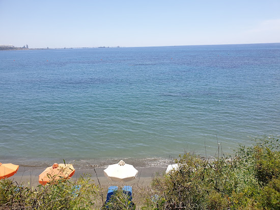 Hamster's Bay