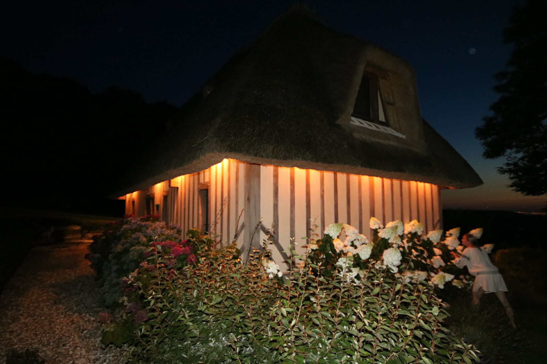 Photo n° 36 de l'avis de Rich. fait le 21/08/2018 à 18:53