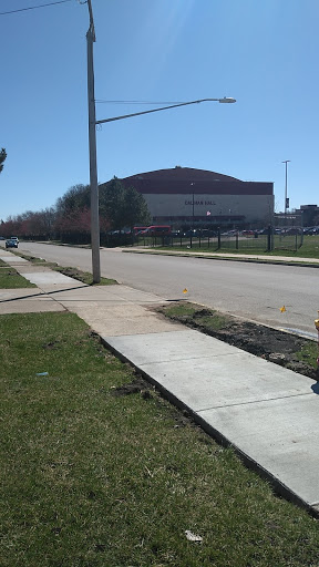 Basketball Court «Calihan Hall», reviews and photos, 4001 W McNichols Rd, Detroit, MI 48221, USA