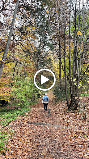 Nature Preserve «Tregaron Conservancy», reviews and photos, 3100 Macomb St NW, Washington, DC 20008, USA