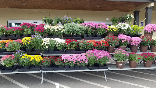 Home Improvement Store «Gateway True Value Hardware», reviews and photos, 912 Griffin Ave, Enumclaw, WA 98022, USA