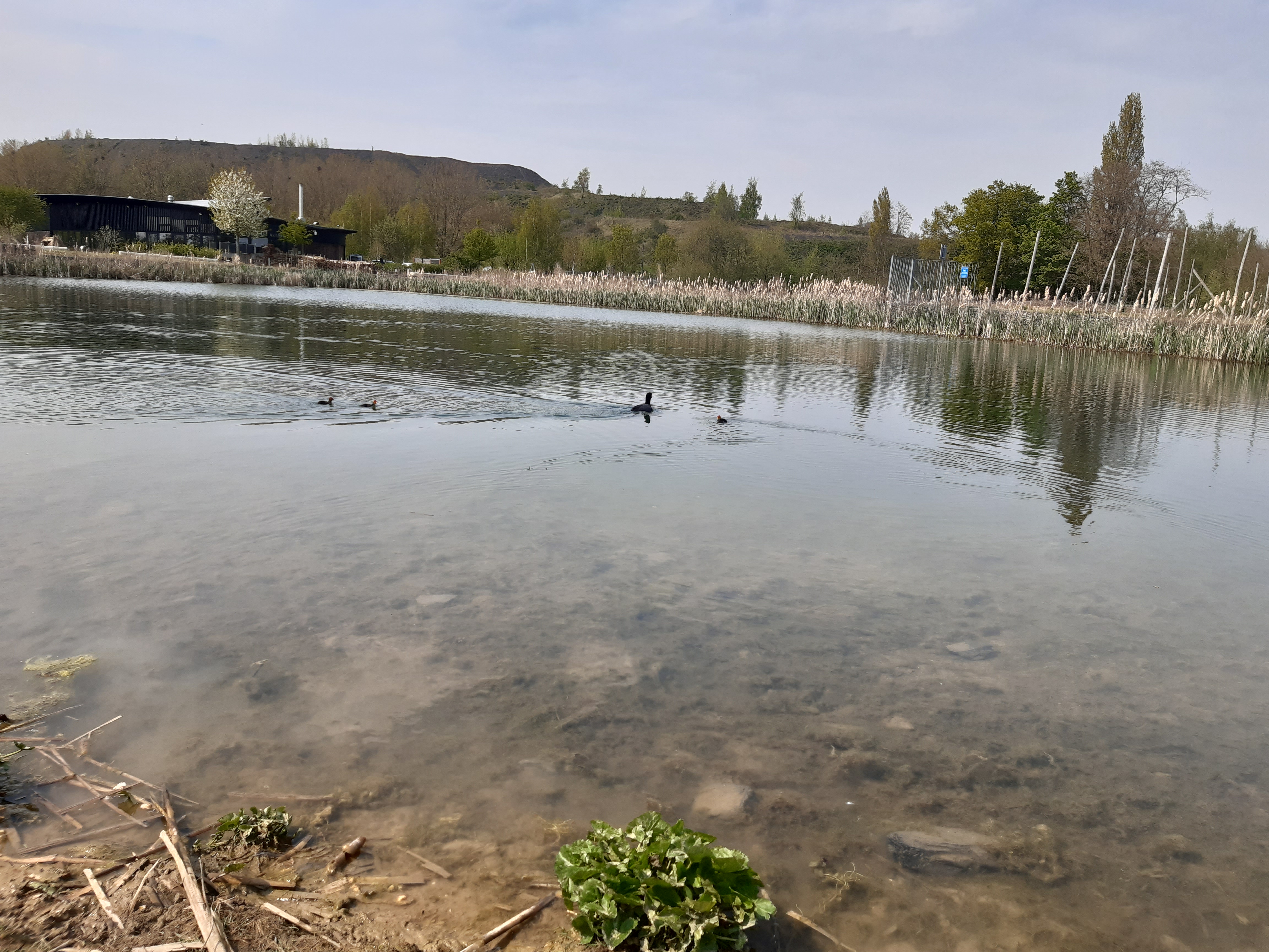 Photo n° 9 de l'avis de Vérane.o fait le 29/04/2021 à 08:20