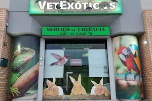VetExóticos image