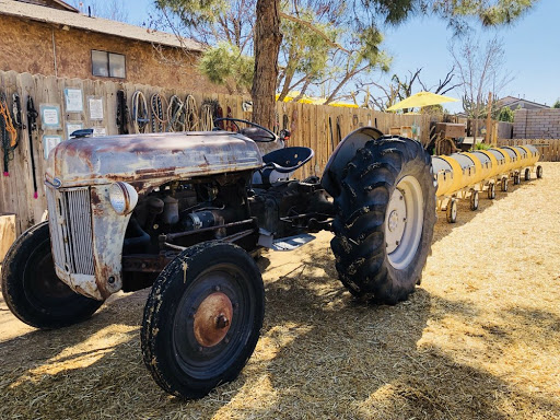 Zoo «Jr Pony Parties», reviews and photos, 1744 N Leonard Ln, Las Vegas, NV 89108, USA