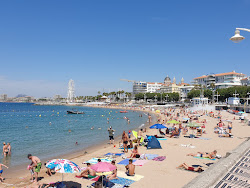Plage du Veillat'in fotoğrafı çok temiz temizlik seviyesi ile