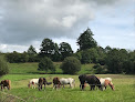 Val de Vire Equitation Condé-sur-Vire
